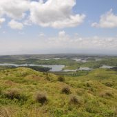  Arusha NP, TZ